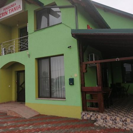 Pensiunea Maria Tania - Restaurant Mioveni Kültér fotó