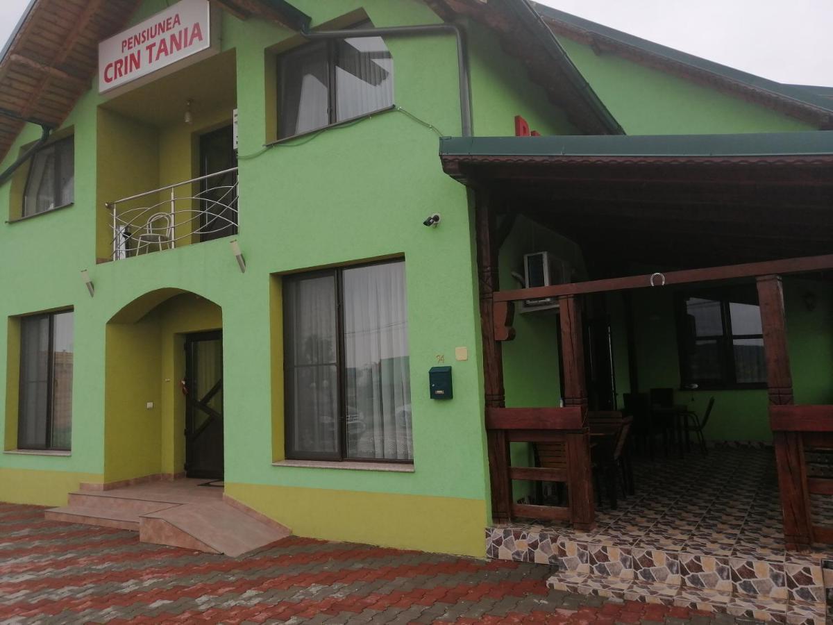 Pensiunea Maria Tania - Restaurant Mioveni Kültér fotó